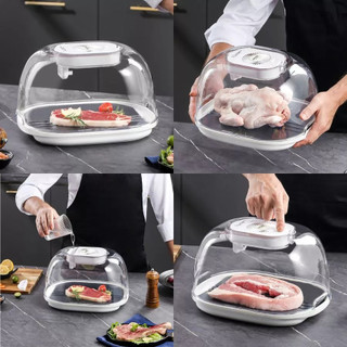 Máy rã đông thực phẩm KACHEEG KAYUSO cao cấp, máy rã đông chạy pin siêu tốc công nghệ ion an toàn cho thực phẩm