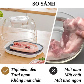 Máy rã đông thực phẩm KACHEEG KAYUSO cao cấp, máy rã đông chạy pin siêu tốc công nghệ ion an toàn cho thực phẩm