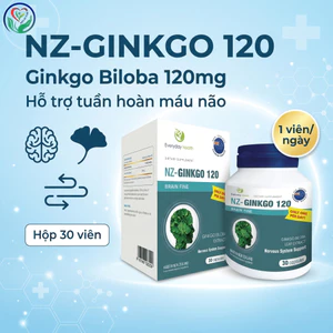NZ-Ginkgo 120 Everyday Health 30 viên, Ginkgo Biloba hỗ trợ tuần hoàn máu não, trí nhớ