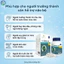 NZ-Ginkgo 120 Everyday Health 30 viên, Ginkgo Biloba hỗ trợ tuần hoàn máu não, trí nhớ