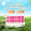 Lốc 10 Cuộn Hồng Giấy Vệ Sinh Bless You 2 Lớp cao cấp - Chính Hãng