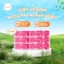 Lốc 10 Cuộn Hồng Giấy Vệ Sinh Bless You 2 Lớp cao cấp - Chính Hãng