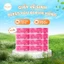 Lốc 10 Cuộn Hồng Giấy Vệ Sinh Bless You 2 Lớp cao cấp - Chính Hãng