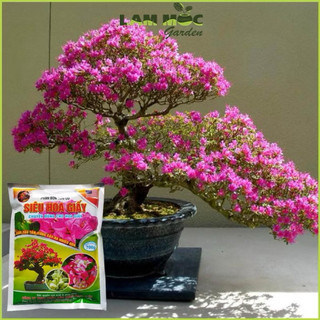 Phân Bón Hoa Giấy GreenHome, Bao 700gr, Hữu Cơ, Giúp Thân Cứng Cáp, Tạo Tán, Ra Bông Nhiều, Lâu Tàn