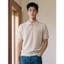 Áo Polo nam Hàn Quốc (2 màu) 12968