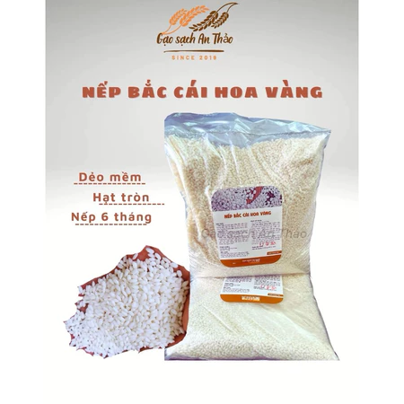 Nếp Bắc Cái Hoa Vàng – nếp 6 tháng dẻo thơm ,hạt tròn nhỏ, chuẩn vị ngon