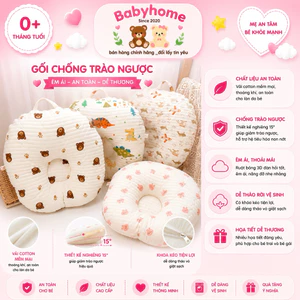 GỐI CHỐNG TRÀO NGƯỢC XÔ MUSLIN ORGANIC HÀN QUỐC