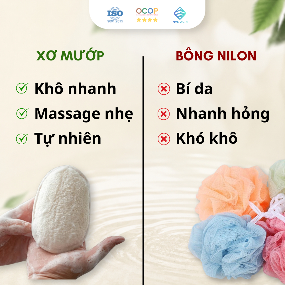 Cây Kỳ Lưng Xơ Mướp Tự Nhiên Cán Gỗ Viền Cotton Làm Sạch Da Xơ Mướp Tẩy Tế Bào Chết Massage Thân Thiện Môi Trường