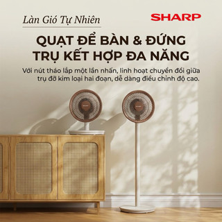 Quạt cây SHARP model: PJ-CD300A
