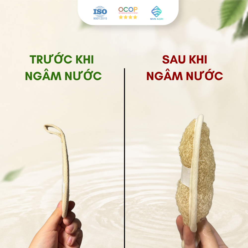 Cây Kỳ Lưng Xơ Mướp Tự Nhiên Cán Gỗ Viền Cotton Làm Sạch Da Xơ Mướp Tẩy Tế Bào Chết Massage Thân Thiện Môi Trường