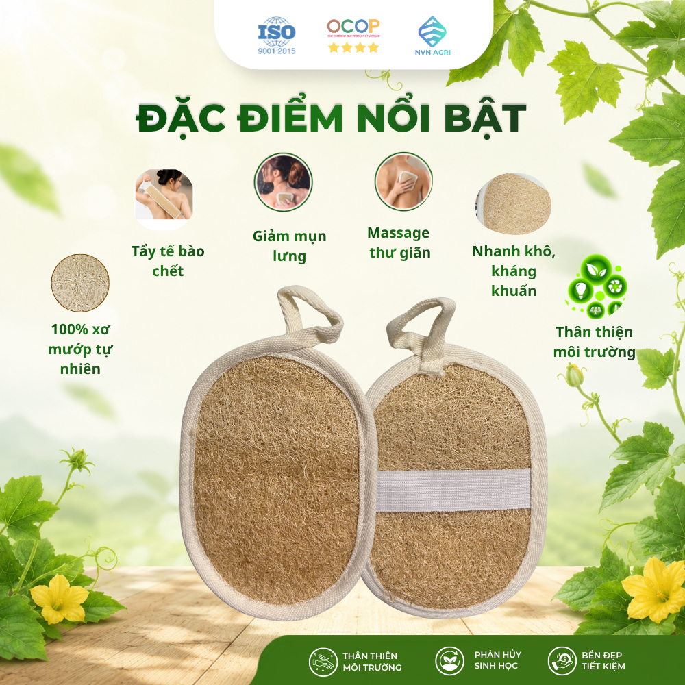 Bông Tắm Xơ Mướp Oval 100% Tự Nhiên Làm Sạch Da Bông Tẩy Tế Bào Chết Mát Xa Thân Thiện Môi Trường