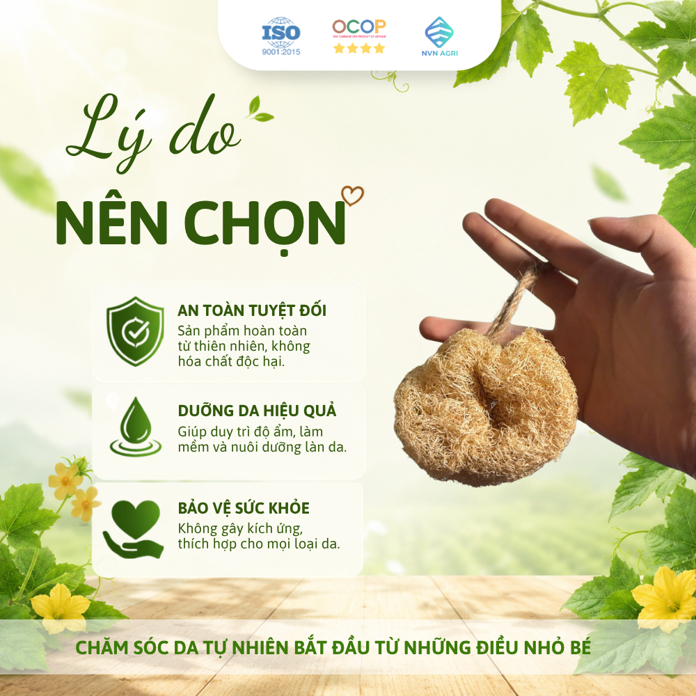 Bông Tắm Xơ Mướp Nguyên Trái 100% Tự Nhiên Tẩy Tế Bào Chết Massage Cơ Thể Làm Sạch Da