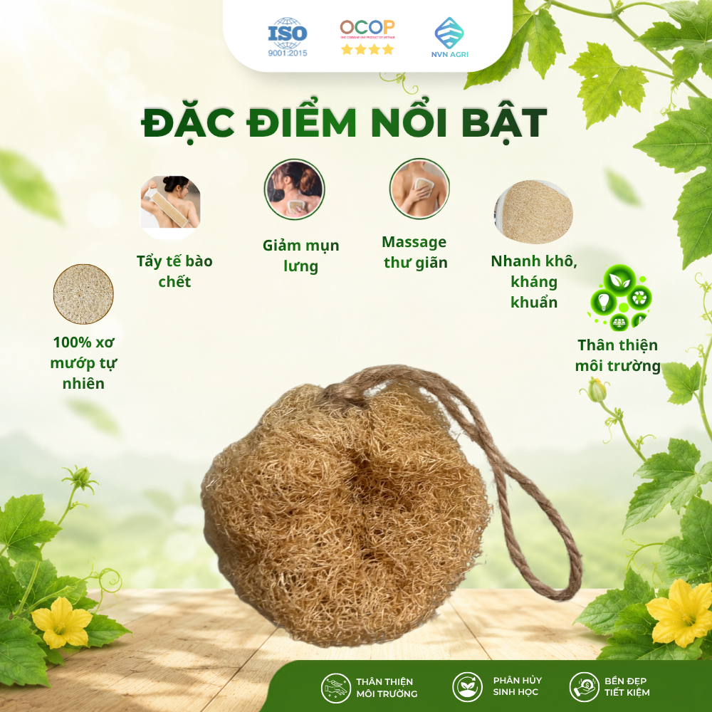 Bông Tắm Xơ Mướp Nguyên Trái 100% Tự Nhiên Tẩy Tế Bào Chết Massage Cơ Thể Làm Sạch Da