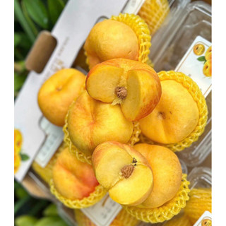 ( JENNY FRUIT ) ĐÀO dẹt vàng hàng hiếm