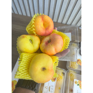 ( JENNY FRUIT ) ĐÀO dẹt vàng hàng hiếm