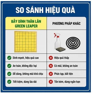 🏠Keo Dính Bắt Thằn Lằn Thạch Sùng Cỡ Lớn Keo Siêu Dính Dùng Trong Nhà 5 Tấm – Dọn sạch thạch sùng nhanh gọn, giữ nhà cửa