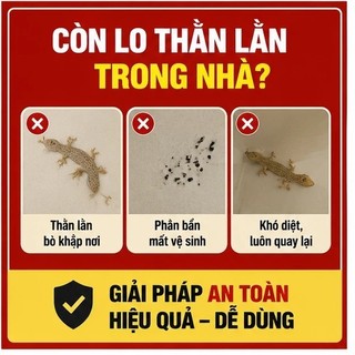 🏠Keo Dính Bắt Thằn Lằn Thạch Sùng Cỡ Lớn Keo Siêu Dính Dùng Trong Nhà 5 Tấm – Dọn sạch thạch sùng nhanh gọn, giữ nhà cửa