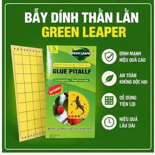 🏠Keo Dính Bắt Thằn Lằn Thạch Sùng Cỡ Lớn Keo Siêu Dính Dùng Trong Nhà 5 Tấm – Dọn sạch thạch sùng nhanh gọn, giữ nhà cửa