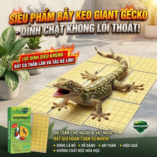 🏠Keo Dính Bắt Thằn Lằn Thạch Sùng Cỡ Lớn Keo Siêu Dính Dùng Trong Nhà 5 Tấm – Dọn sạch thạch sùng nhanh gọn, giữ nhà cửa