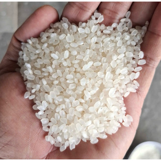 Gạo Nhật Japonica Saiko cao cấp (túi 2kg) - Gạo hạt tròn, dẻo mềm, phù hợp nấu cơm gia đình, sushi, cháo dinh dưỡng