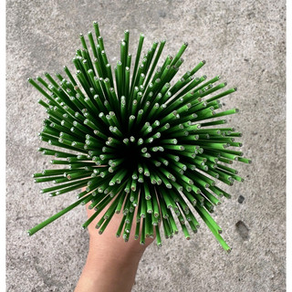 [ RẺ VÔ ĐỊCH ] Que Kẽm Cắm Hoa Sáp, Hoa Lụa, Cốt kẽm bọc nhựa làm hoa handmade bền đẹp chống gỉ