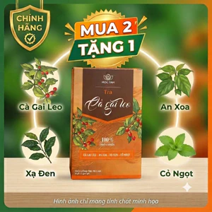 Trà Cà Gai Leo - An Xoa - Xạ Đen, Hộp 30 Túi Lọc