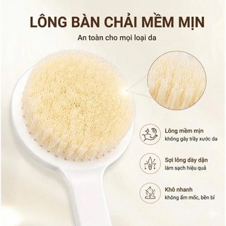 Bàn Chải Tắm Chà Lưng Tẩy Tế Bào Chết, Massage, Thư Giãn Thiết Kế Tay Cầm Dài Và Lông Mềm Mại