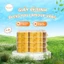 10 cuộn Vàng Giấy Vệ Sinh Bless You Lamour Cao Cấp 3 lớp - Chính Hãng