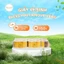 10 cuộn Vàng Giấy Vệ Sinh Bless You Lamour Cao Cấp 3 lớp - Chính Hãng