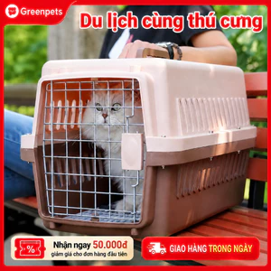 Hộp vận chuyển chuyên dụng cho chó và mèo, thích hợp cho du lịch, ký gửi và bệnh viện thú y