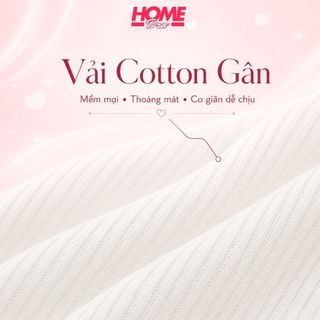 Quần lót nữ thun cotton mềm mại co giãn tốt - Quần chip nữ cạp vừa in chữ cá tính đáy may 2 lớp LY08