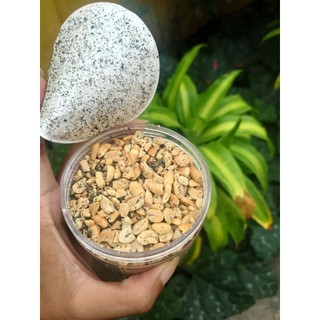 Muối Lạc Vừng Đen Rang Bếp Củi Giã Tay Hũ 300g - Thơm Bùi, Ăn Cơm, Xôi, Rau Luộc