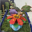Chậu Cây Venusaur Pokemon In 3D Độc Đáo | Chậu Sen Đá Mini Trang Trí Bàn Học, Văn Phòng