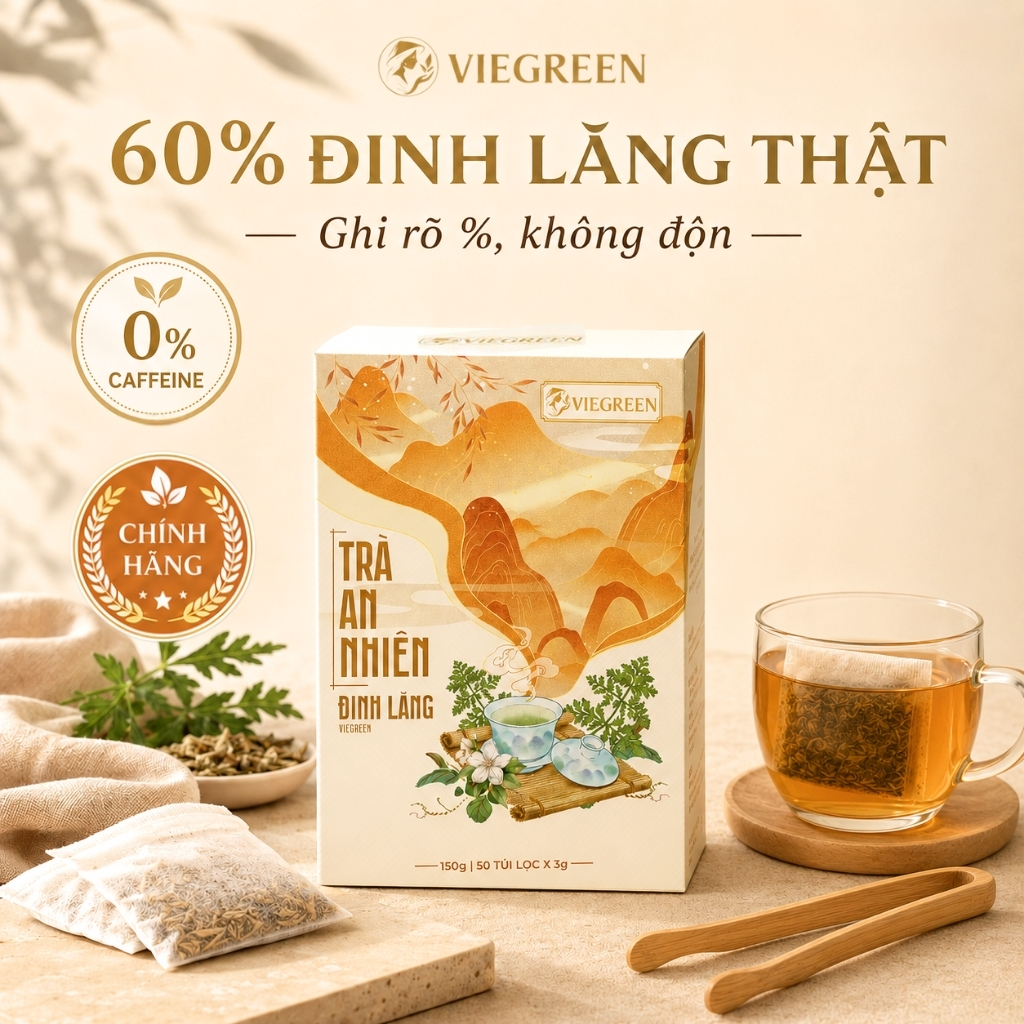Trà Túi Lọc Đinh Lăng 60% VIEGREEN An Nhiên 50 Túi x 3g, Không Caffeine, Hương Nhài, GMP HACCP