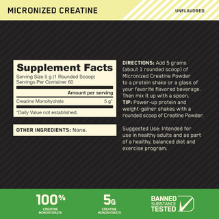 ON Creatine Micro Powder Creatine Monohydrate Hỗ trợ sức mạnh và phục hồi Không mùi 300g