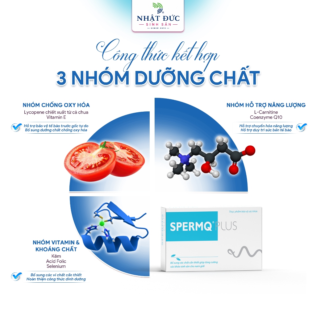 SPERMQ PLUS Chính Hãng Dưỡng Chất Cho Nam Giới Chuẩn Bị Có Con L Carnitine Coenzyme Q10 Lycopene