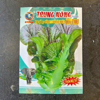 Hạt giống Cải Mù Tạt Tím Cao Sản (Gói 10g~2000 Hạt) Dễ Trồng, Năng Suất Cao, Nhanh Thu Hoạch