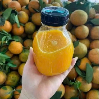 Combo 5 Chai Thuỷ Tinh Lùn Dung Tích 300ML, 500ML Đựng Nước Ép Sinh Tố