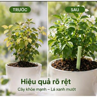 Thanh Dinh Dưỡng Tan Chậm StrongGrow (Hộp 18 Que) Giải Phóng Dinh Dưỡng Kích Rễ Ra Hoa Cho Cây Trồng