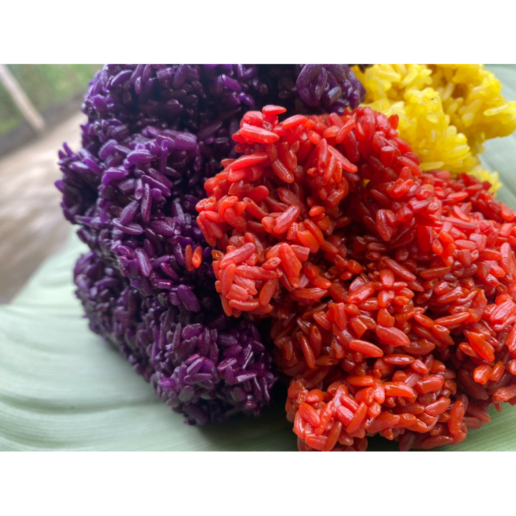 Cây Giống Lá Cẩm Đỏ Tươi - Tạo Màu Xôi Thiên Nhiên - Cao 20–30cm