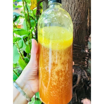 Mật ong nghệ lên men 500ml ( lên men từ nước nấm kefir lên men, nghệ tươi, mật nhà nuôi)