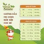 Bỉm Quần/Dán AMOR NATURAL FULL SIZE Mềm Mịn Mỏng Nhẹ, Thấm Hút Tốt