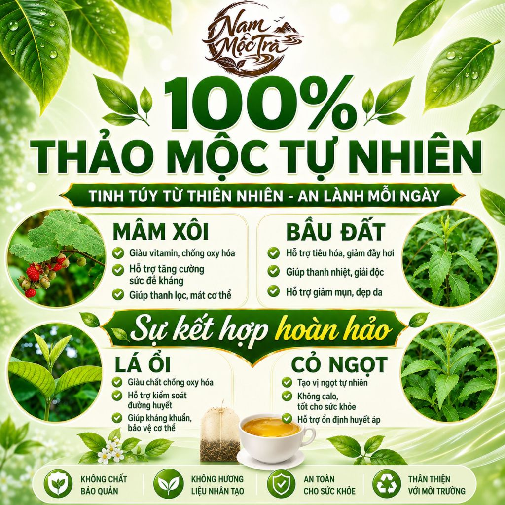 Trà mâm xôi 4 Vị , Mâm Xôi, Bầu Đất ,Lá  Ổi, Cỏ Ngọt, điều kinh, dâu đều, dày niêm mạc, ivf