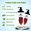 500ML Dầu Gội Rồng Đen chiết xuất thảo dược Giúp sạch Gàu nấm da đầu Ngăn dụng tóc & phục hồi da đầu