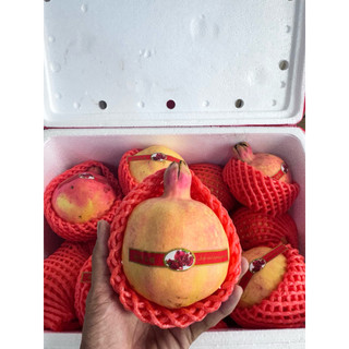[ JENNY FRUIT ] Thùng lựu thái 9kg lun thùng