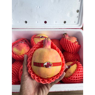 [ JENNY FRUIT ] Thùng lựu thái 9kg lun thùng