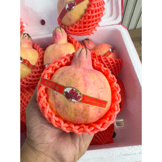 [ JENNY FRUIT ] Thùng lựu thái 9kg lun thùng