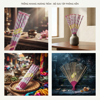 Hương Trầm Quỳ Châu Đặc Biệt hương vị tết 2025 búp 60f 9 cây Dầu Thơm Phòng Dầu Thơm