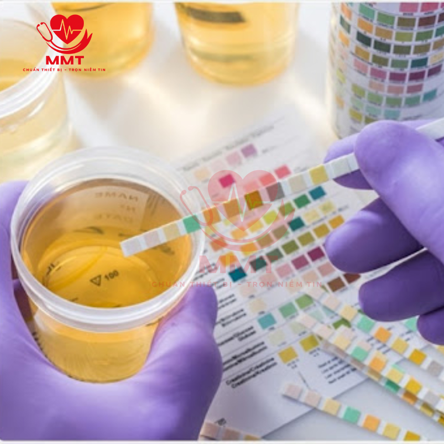 Que Thử Test Nước Tiểu 11 Thông Số CONTEC BC400 Chính Hãng 100%
