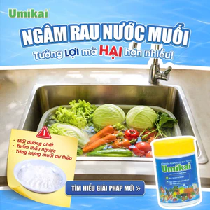 BỘT NGÂM RỬA RAU CỦ QUẢ THỊT CÁ UMIKAI Nhật Bản - 1 Hộp 100GR
